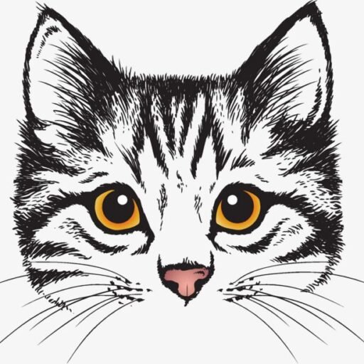 shorthaircattery.com logo