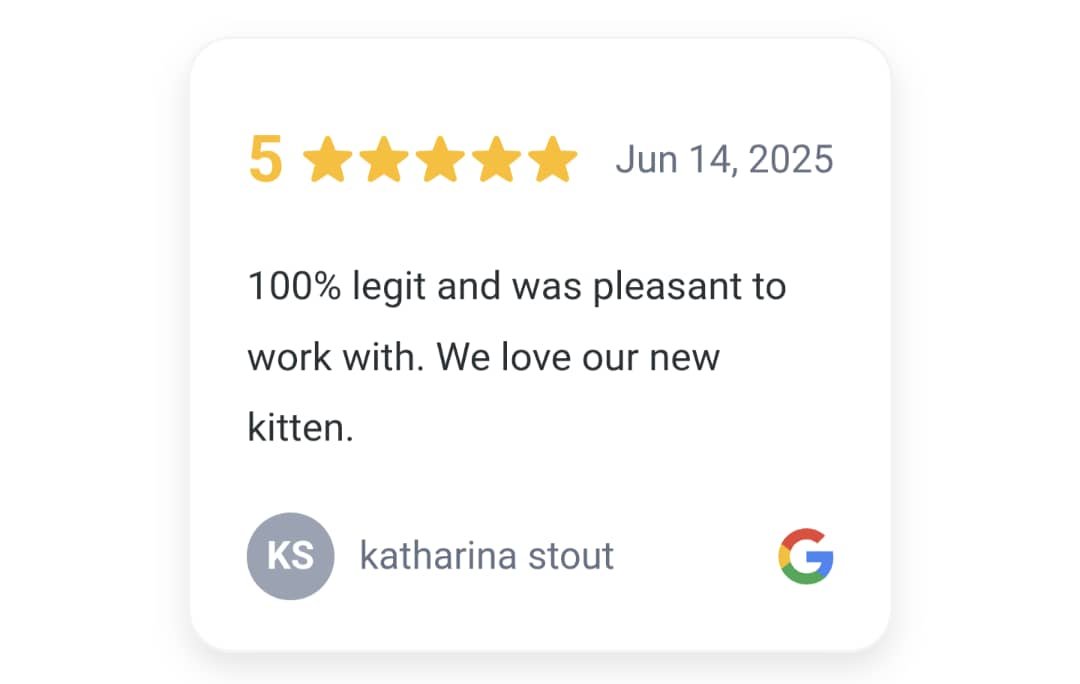 testimonials