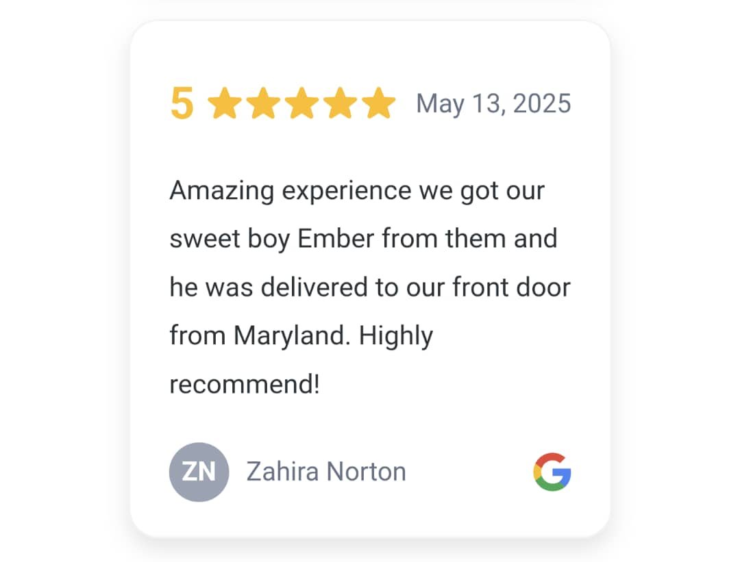 testimonials
