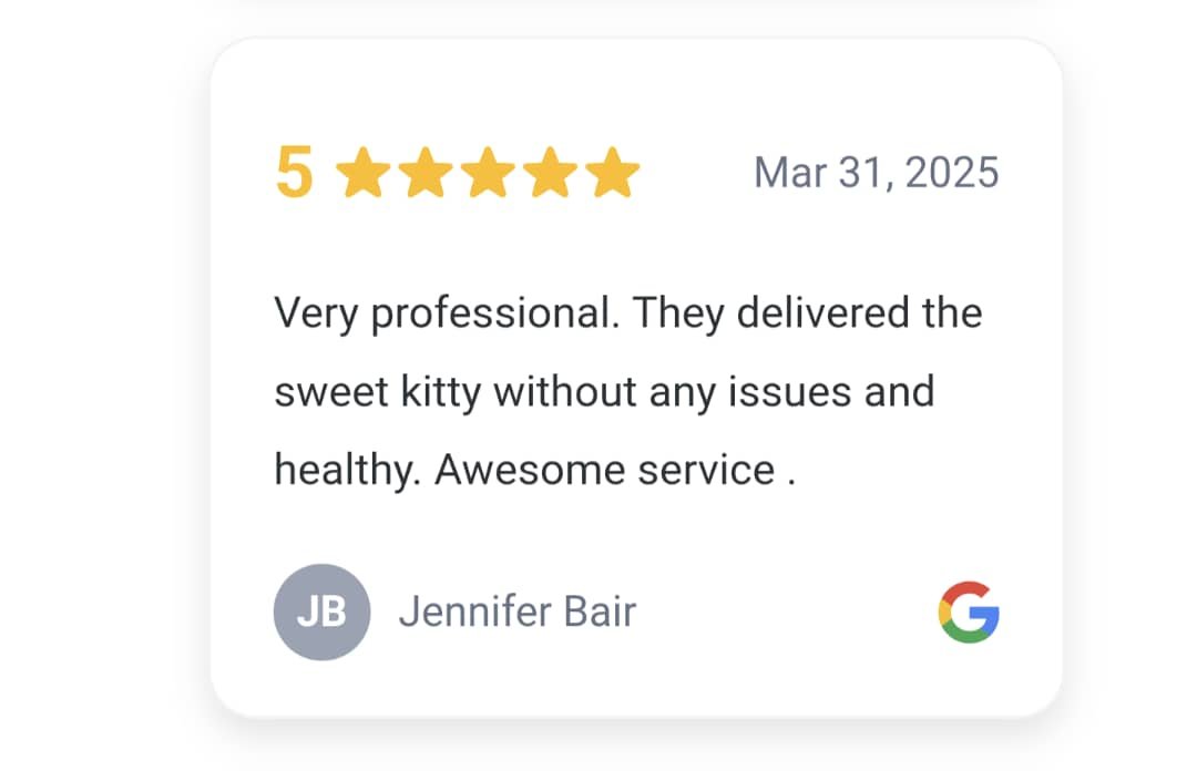 testimonials