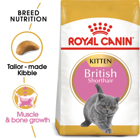 British Shorthair Food