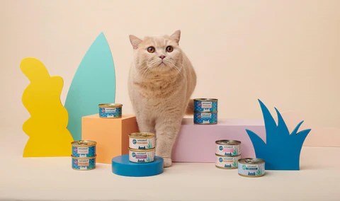 British Blue cat food